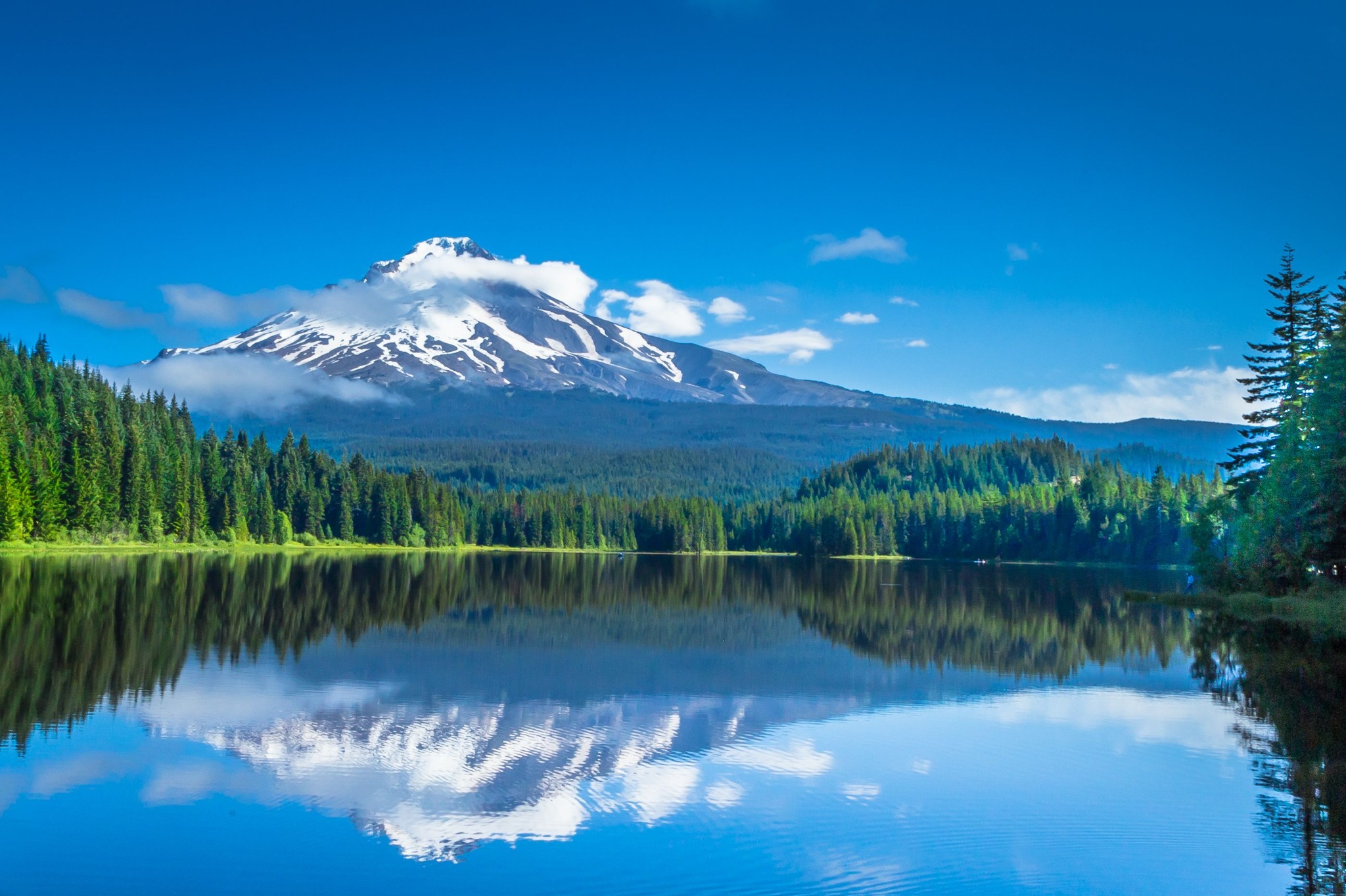 A peaceful green mountain lake surrounded by pine trees at golden hour